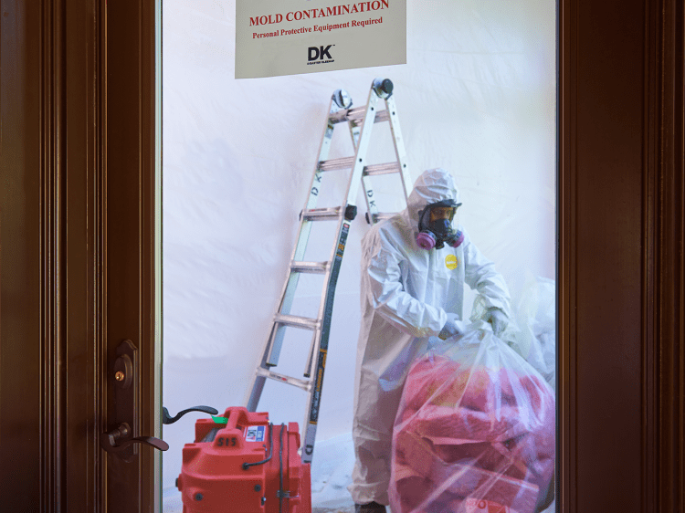 Mold containment is a necessary step before mold removal