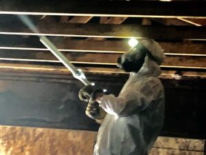 Commercial and Affordable mold removal in Boise – Safe and budget-friendly mold remediation.