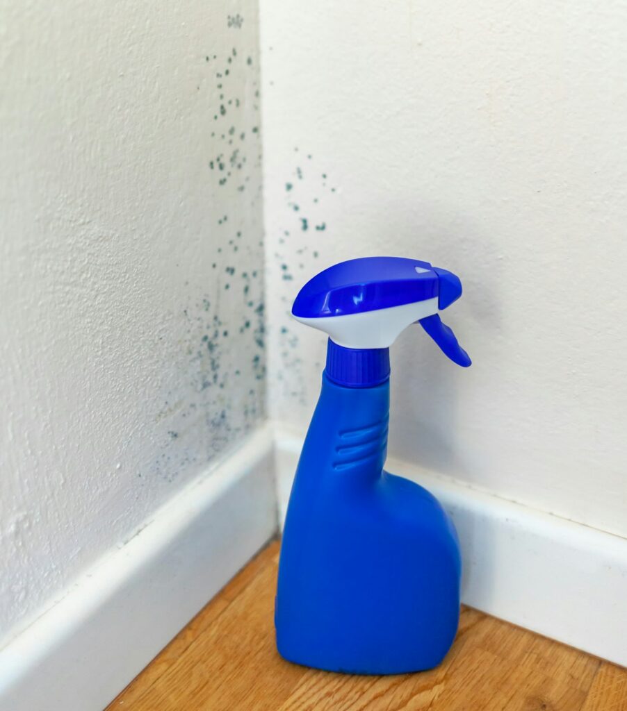 The Importance of Mold Prevention in Idaho Homes