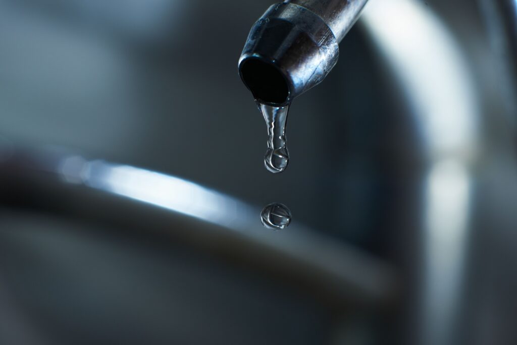 The Role of Quick Action in Preventing Mold After Water Damage